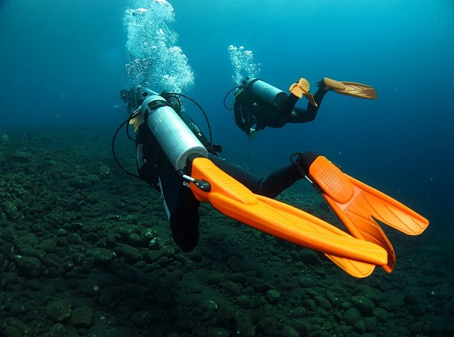 Apollo Bio-Fin Professional for Scuba Divers Medium 